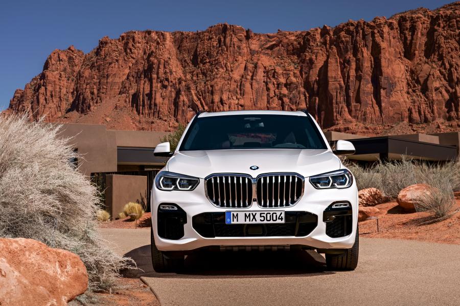  BMW X5 xDrive30d M Sport (G05) 2018 года  (WW) (фото 25 из 75)